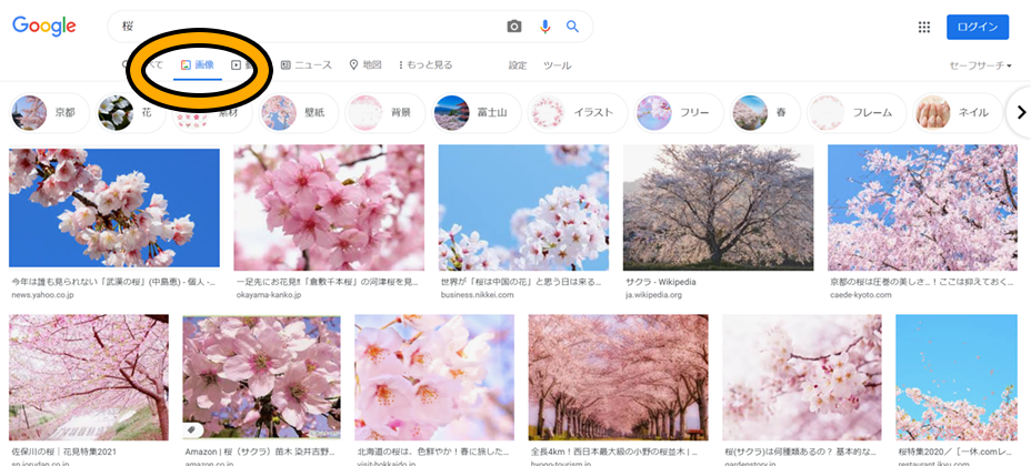 画像検索結果